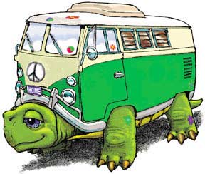  - 1018208312124_slow_as_a_turtle_bus