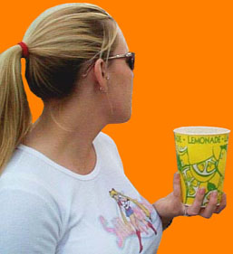 sl-look2.jpg (21390 bytes)